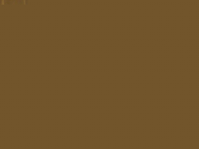 031220091573