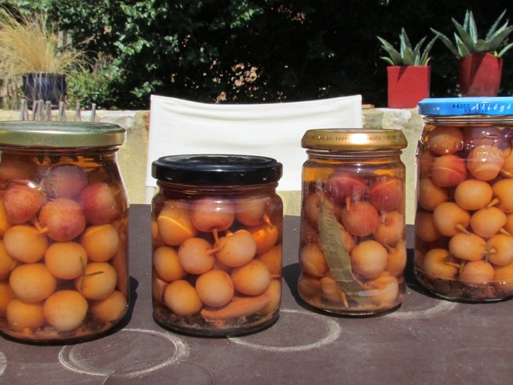 Cerises au vinaigre op 't dak
