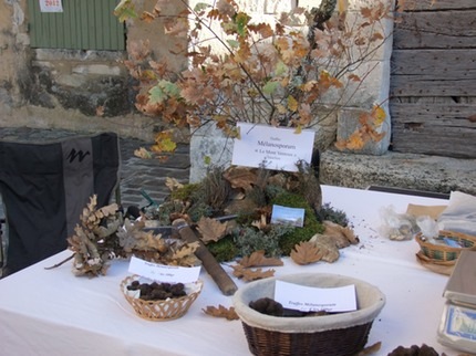 Display