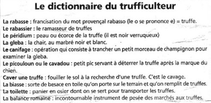 Lingot de la truffe2