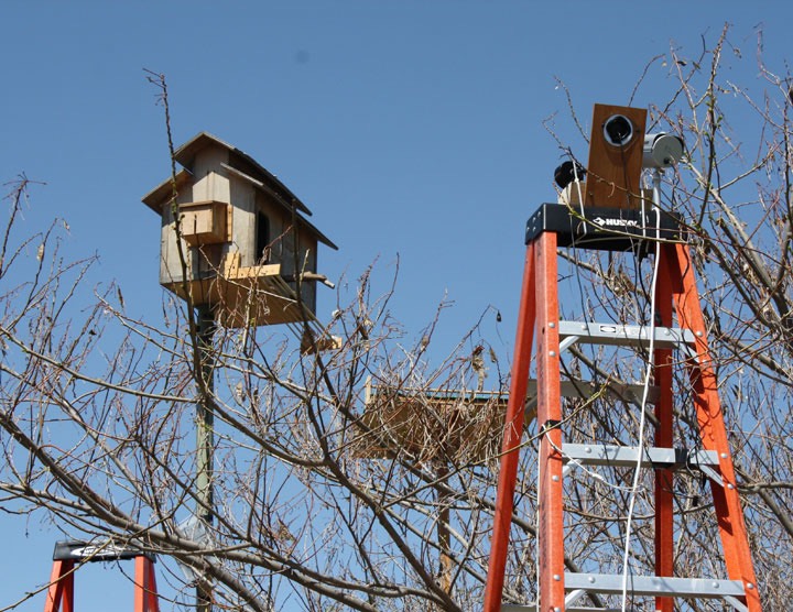 owlboxsetupbuiten